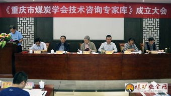 重庆煤炭学会聘请80名技术咨询专家，为行业高质量发展注入新动能